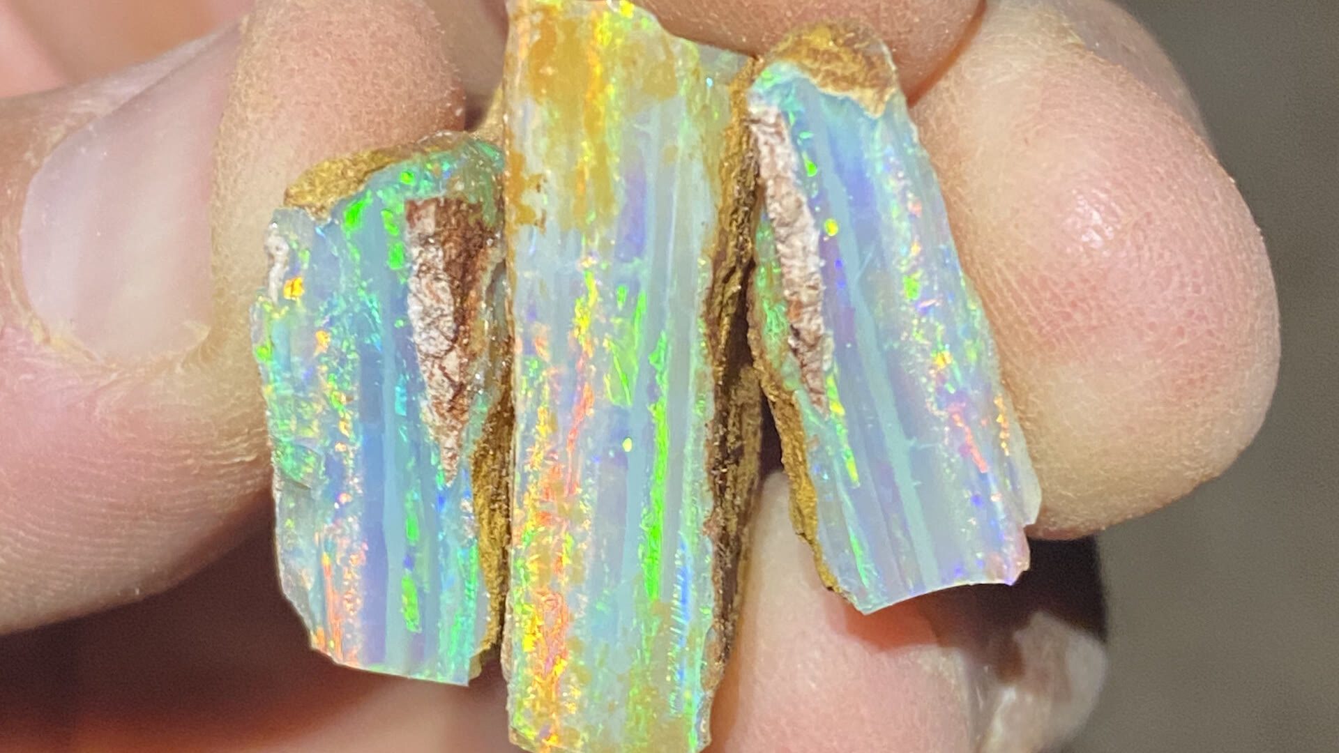 Rough crystal opal pieces flashing green and orange in a dusty working hand.